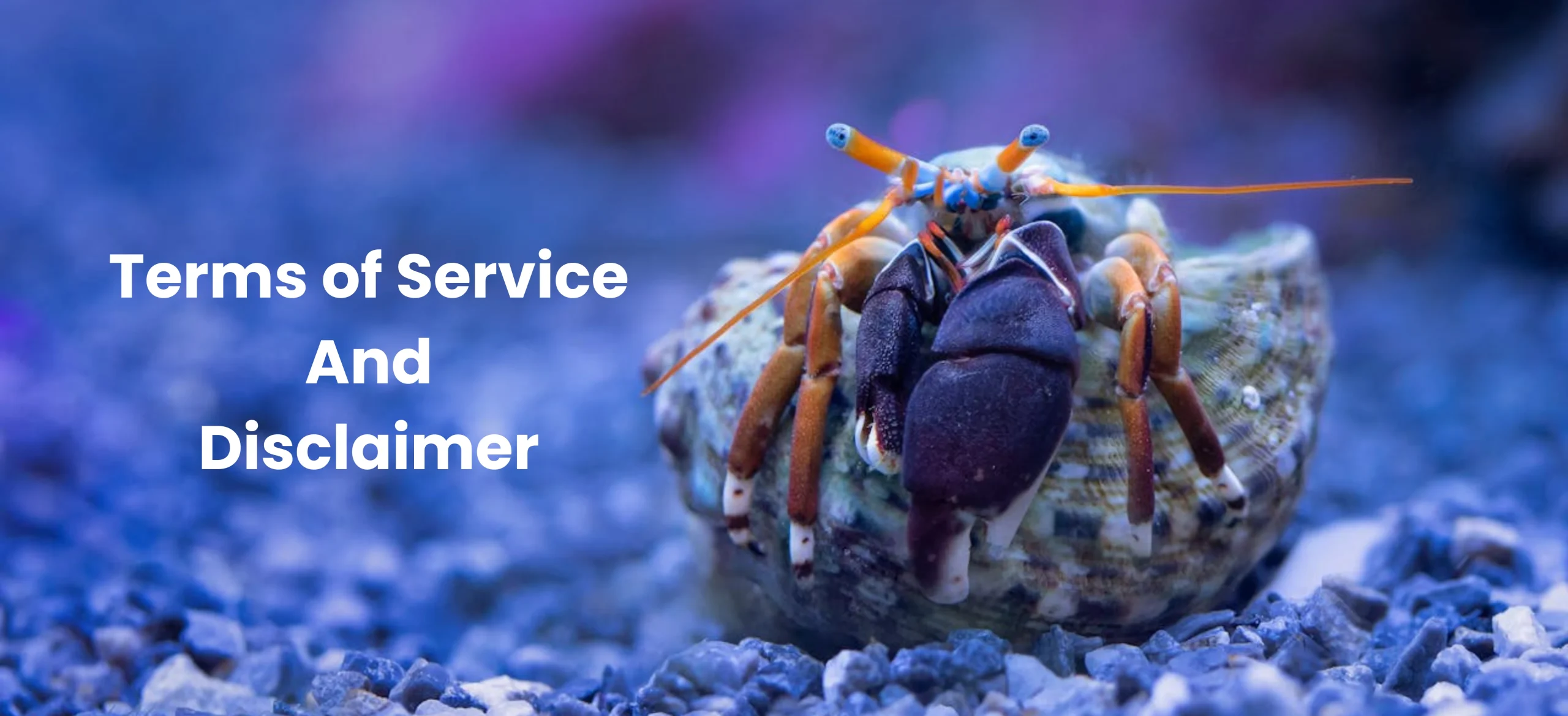 animals-factspedia-terms-of-service-and-disclaimer-scaled.